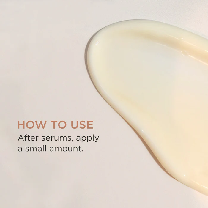 Enrich - Image 4